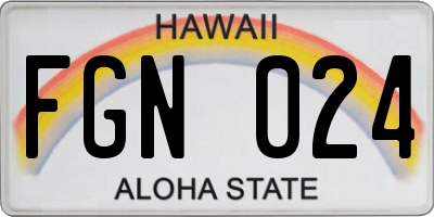 HI license plate FGN024