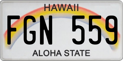 HI license plate FGN559