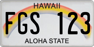 HI license plate FGS123