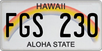 HI license plate FGS230