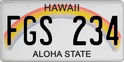 HI license plate FGS234