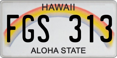 HI license plate FGS313