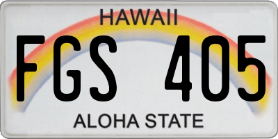 HI license plate FGS405