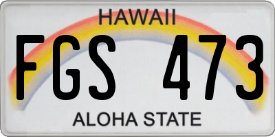 HI license plate FGS473