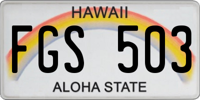 HI license plate FGS503