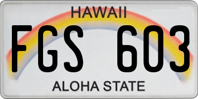 HI license plate FGS603