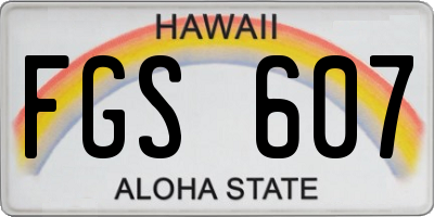 HI license plate FGS607