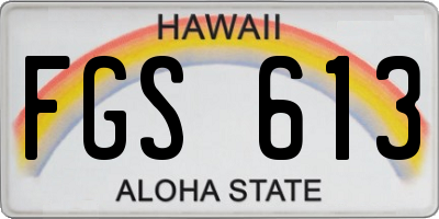 HI license plate FGS613