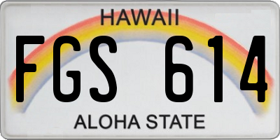 HI license plate FGS614