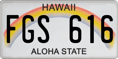 HI license plate FGS616