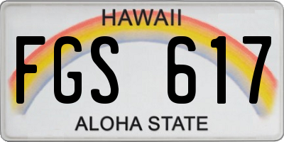 HI license plate FGS617