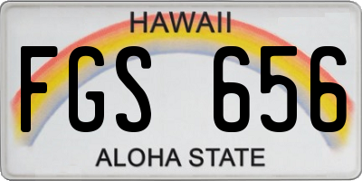 HI license plate FGS656