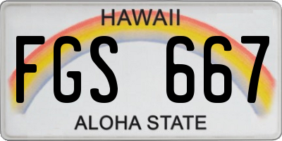 HI license plate FGS667
