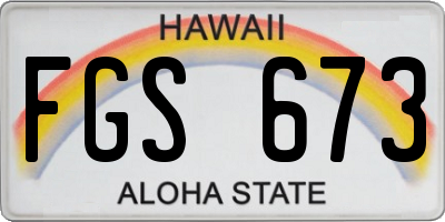 HI license plate FGS673