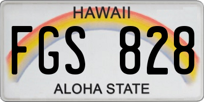 HI license plate FGS828