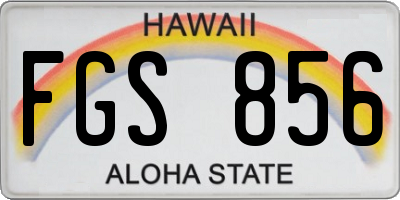 HI license plate FGS856