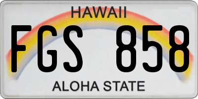 HI license plate FGS858