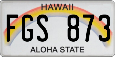 HI license plate FGS873