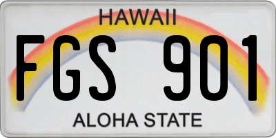 HI license plate FGS901