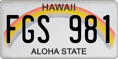 HI license plate FGS981