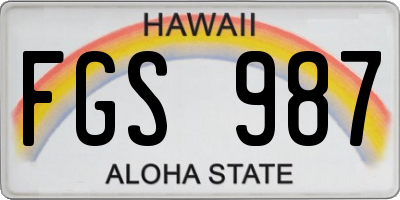 HI license plate FGS987