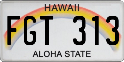 HI license plate FGT313