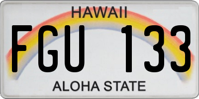 HI license plate FGU133