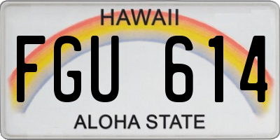HI license plate FGU614