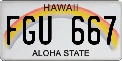 HI license plate FGU667