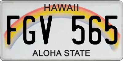 HI license plate FGV565