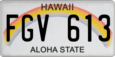 HI license plate FGV613