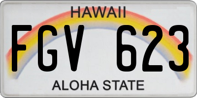 HI license plate FGV623