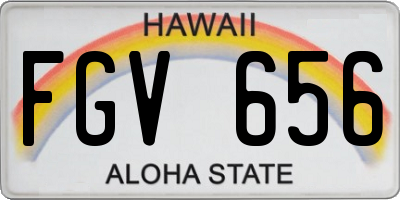 HI license plate FGV656
