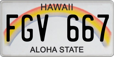 HI license plate FGV667