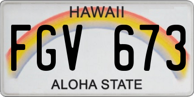 HI license plate FGV673