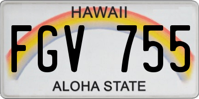 HI license plate FGV755