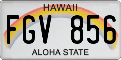 HI license plate FGV856