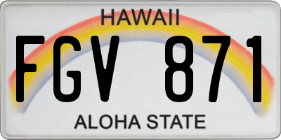 HI license plate FGV871