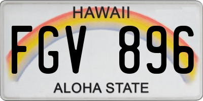 HI license plate FGV896