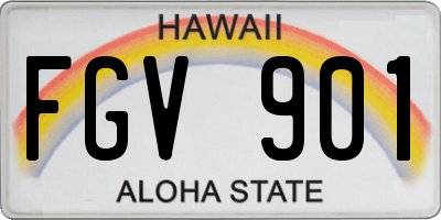 HI license plate FGV901