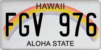 HI license plate FGV976