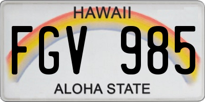 HI license plate FGV985