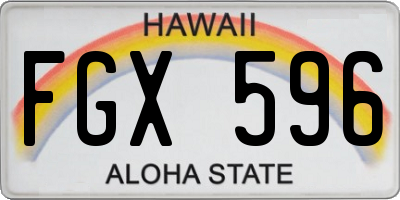 HI license plate FGX596