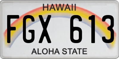 HI license plate FGX613