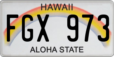 HI license plate FGX973