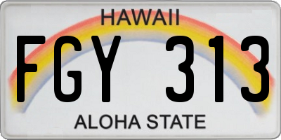 HI license plate FGY313