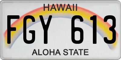 HI license plate FGY613