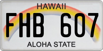 HI license plate FHB607