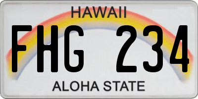 HI license plate FHG234
