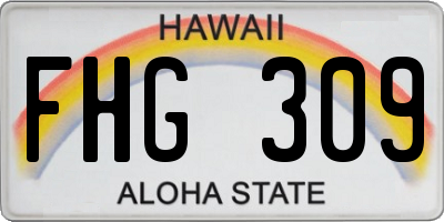 HI license plate FHG309